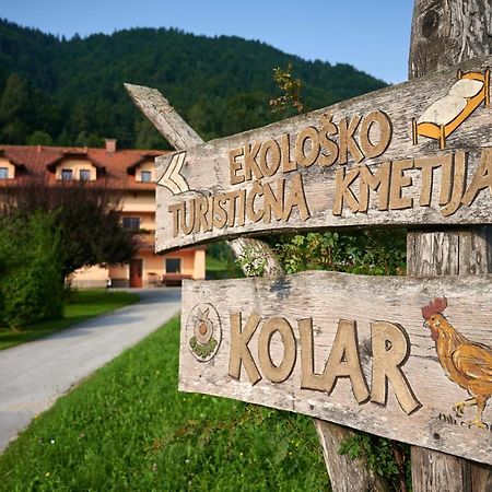 Tourist Farm Kolar Villa Ljubno Ngoại thất bức ảnh