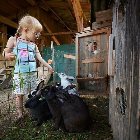 Tourist Farm Kolar Villa Ljubno Ngoại thất bức ảnh