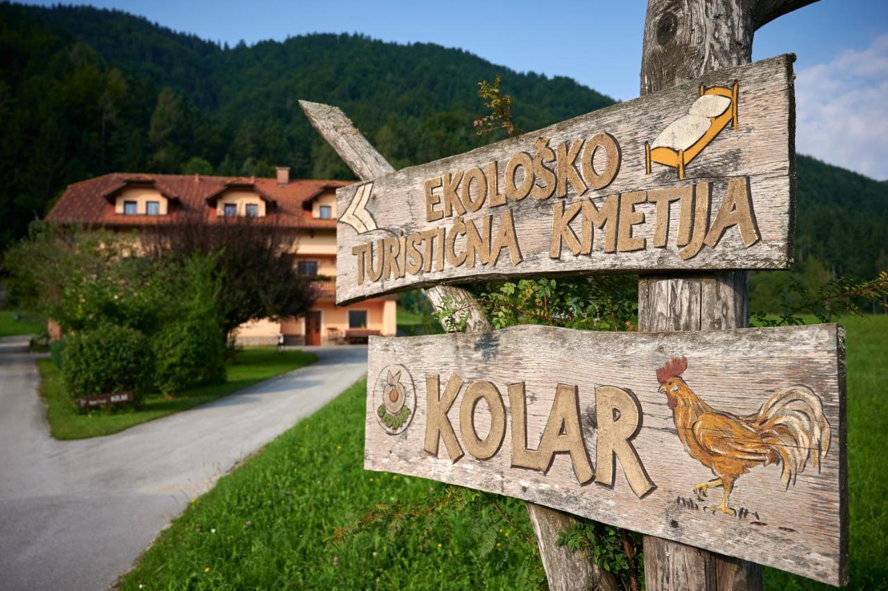 Tourist Farm Kolar Villa Ljubno Ngoại thất bức ảnh