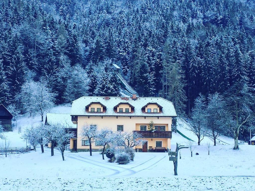 Tourist Farm Kolar Villa Ljubno Ngoại thất bức ảnh